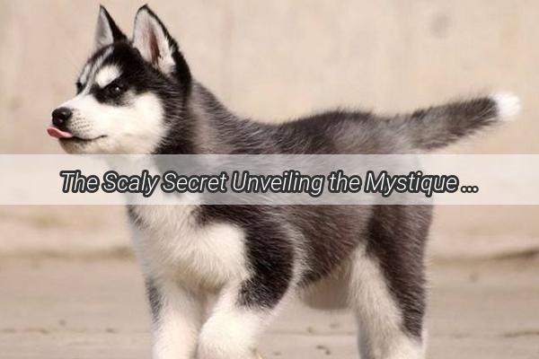 The Scaly Secret Unveiling the Mystique of Dogs Dandruff and Scabs